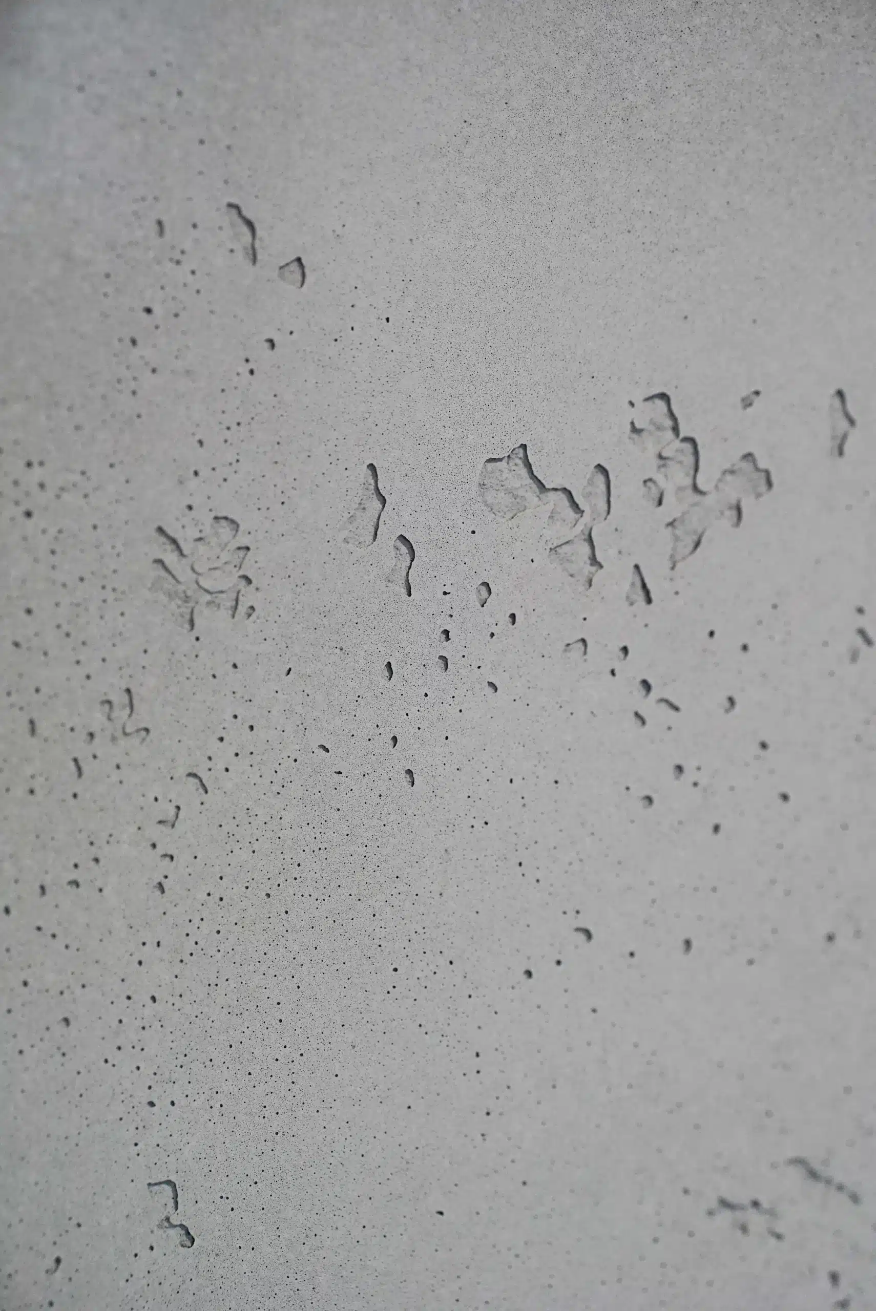 sitchbeton sitchbeton